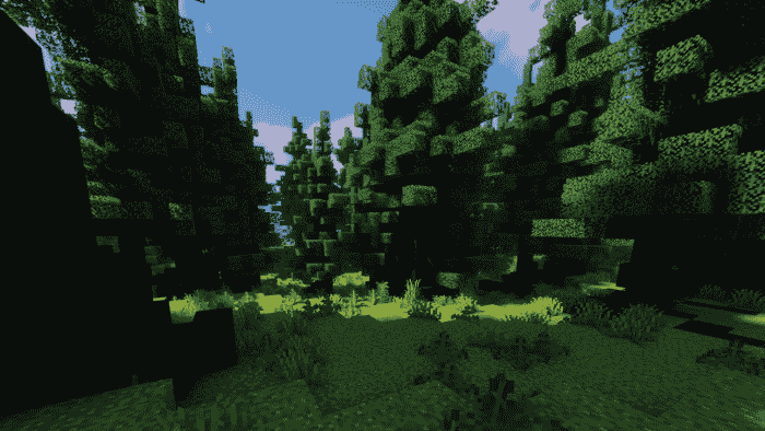 ¿Cómo usar el mapa del bosque en Minecraft?