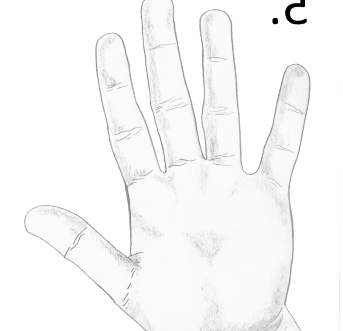 ¿Cuánto mide la palma de la mano?
