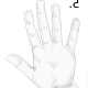 ¿Cuánto mide la palma de la mano?