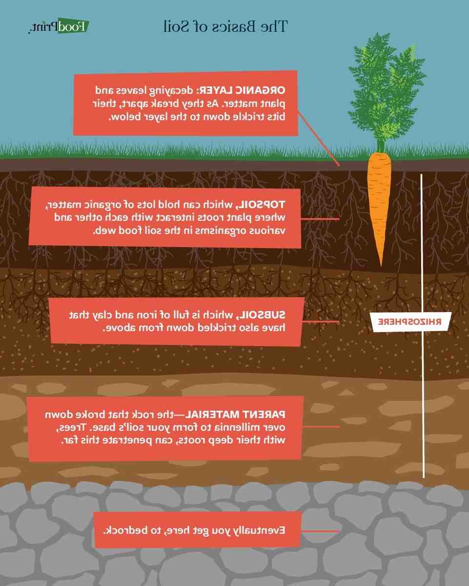 ¿Qué es el suelo sostenible?